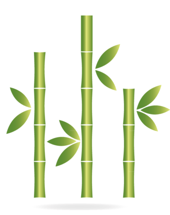 竹子