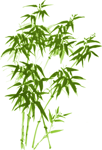 矢量竹子免抠元素图片_元素素材5699195_万素网