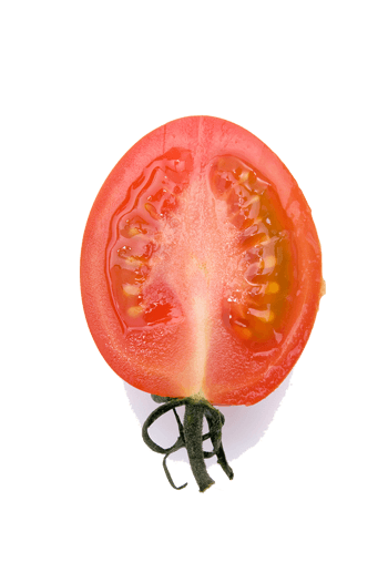 小番茄剖面图片
