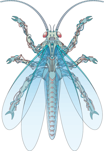 矢量手绘机械苍蝇