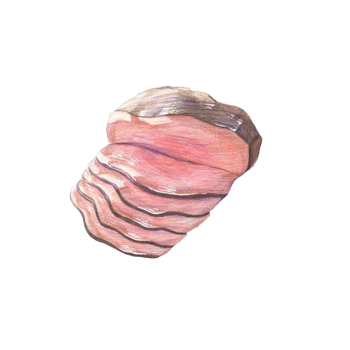 手绘猪肉片矢量