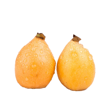 蒙自图片-蒙自素材下载-万素网