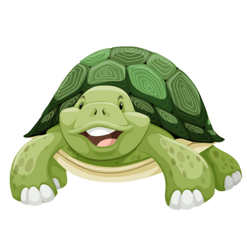 绿色卡通乌龟海龟