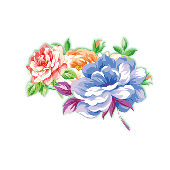 彩色手绘牡丹花