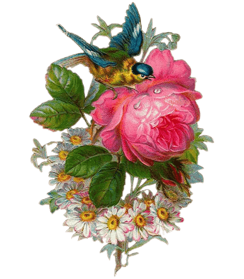 森林系素材卡通花素材唯美玫瑰花花束