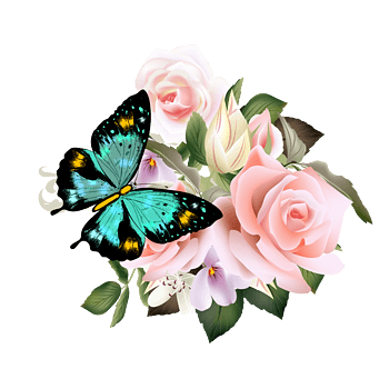 花蝴蝶蝴蝶素材