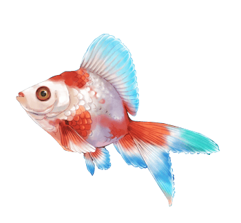 彩色金鱼