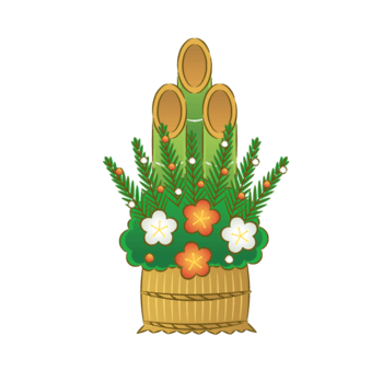 卡通富贵竹盆栽