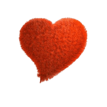 橙色绒毛心形
