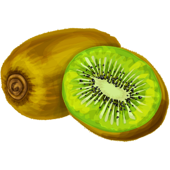 手绘水彩猕猴桃