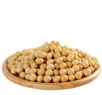 大豆种子图片免费下载-大豆种子素材-万素网