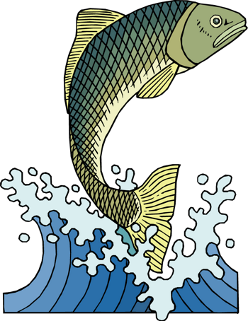 跳跃的鱼插画图片