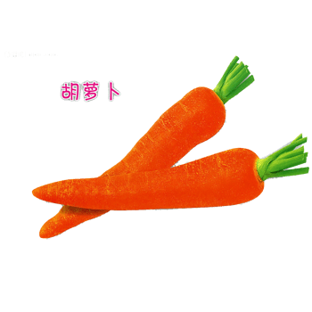 两根胡萝卜