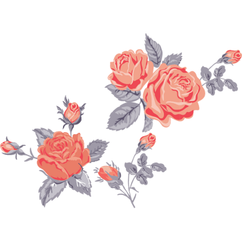 二次元玫瑰花素材图片