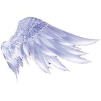 天使的翅膀 素材 免费天使的翅膀图片素材 天使的翅膀素材大全 万素网