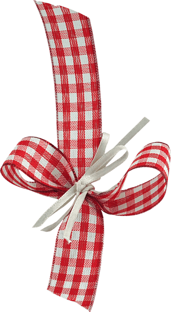 卡通蝴蝶结礼花