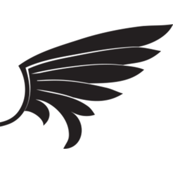 右半边翅膀卡通装饰