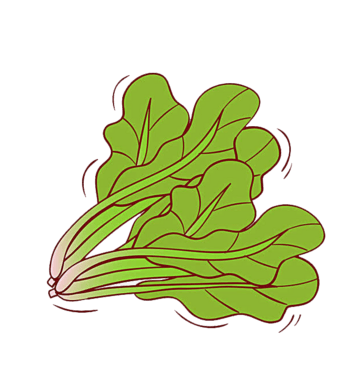 菠菜