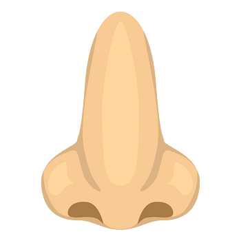 鼻子卡通彩色动物