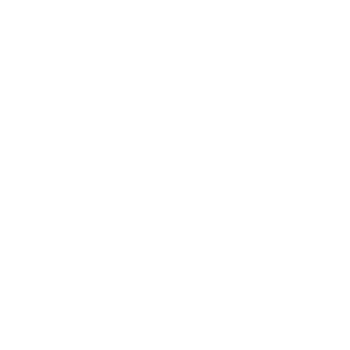 华丽闪光点装饰