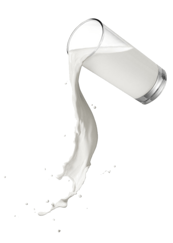 象,大象图片下载-摄影图5352019-万素网