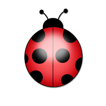 手绘卡通七星瓢虫