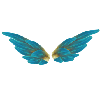 蓝色漂亮翅膀