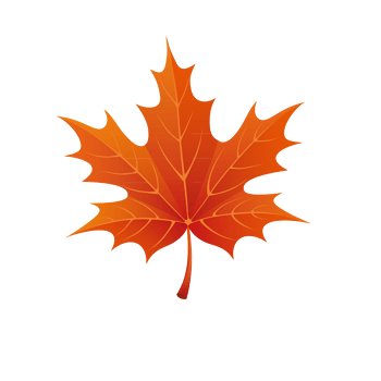尺寸:800*754下载:16下载png渐变色的卡通枫叶下载png尺寸:1000*1000