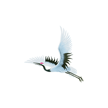 南飞的天鹤