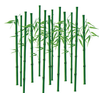 绿竹图片 绿竹设计素材 绿竹素材免费下载 万素网