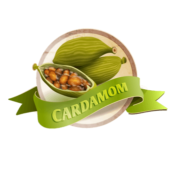 调料用品中餐调味品