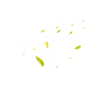 飞舞的嫩绿树叶