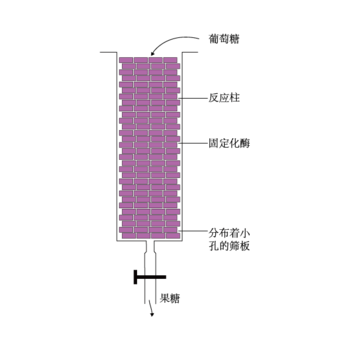 固定化酶装置图片