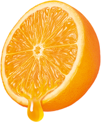 新鲜橙子汁水横切面
