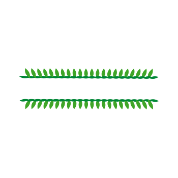 矢量分割线分隔纯色草绿色