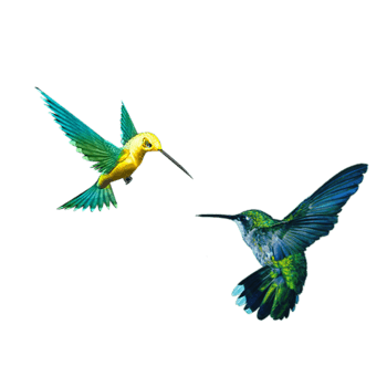 展翅飞翔png元素素材图片下载-万素网