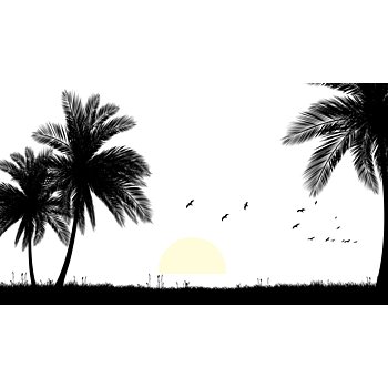 矢量黑色热i带沙滩剪影