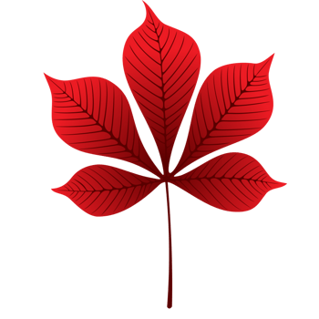 红色革命树叶粘贴画图片