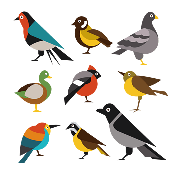 一群彩色小鸟图片矢量