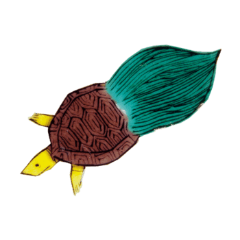 王八 素材 免费王八图片素材 王八素材大全 万素网