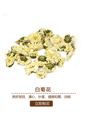 白菊花图片 白菊花素材下载 万素网