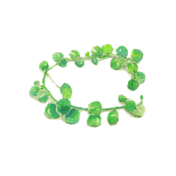 一串珍珠吊兰图片素材