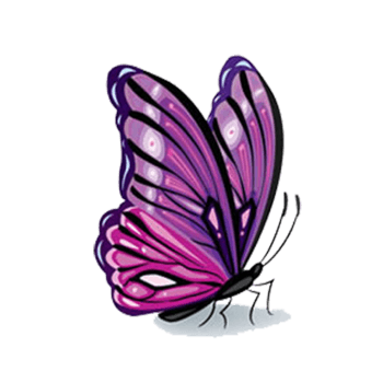 紫色的蝴蝶