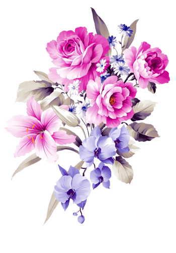 花绽放 素材 免费花绽放图片素材 花绽放素材大全 万素网