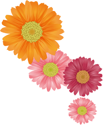 菊花矢量图 素材 免费菊花矢量图图片素材 菊花矢量图素材大全 万素网