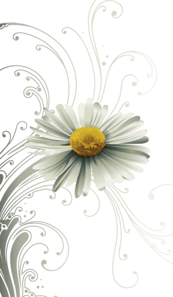 手绘灰色花纹小雏菊图案