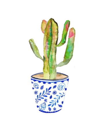 手绘水彩仙人掌小盆景