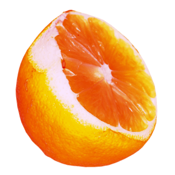 半个橙子偷看图片