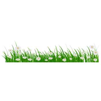 野草小花小草装饰