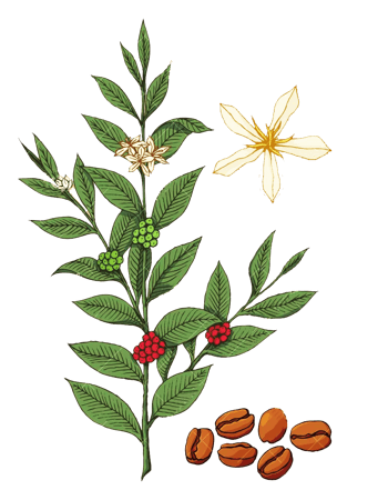 万素网-png矢量图背景图片下载-psd摄影图片素材